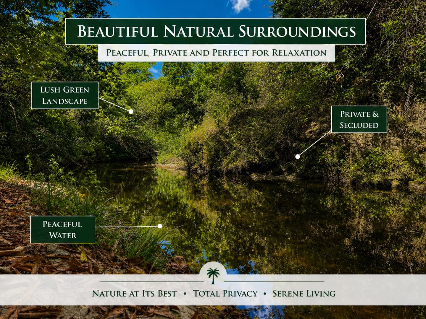 Your Private Tropical Farm Retreat — 13.18 Acres R-0110 - Image 12