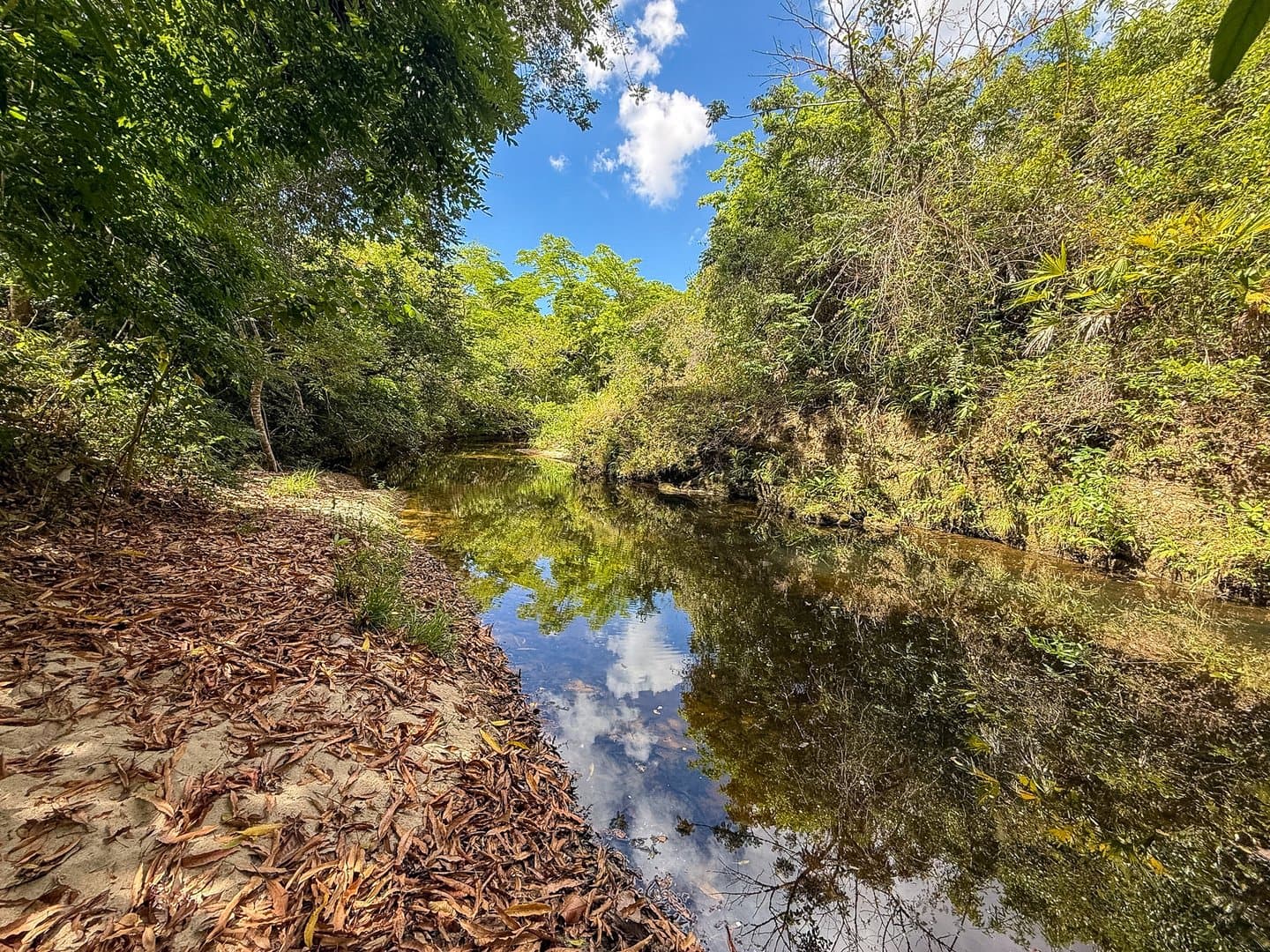 Your Private Tropical Farm Retreat — 13.18 Acres R-0110 - Image 13