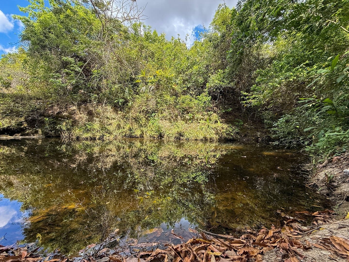 Your Private Tropical Farm Retreat — 13.18 Acres R-0110 - Image 14