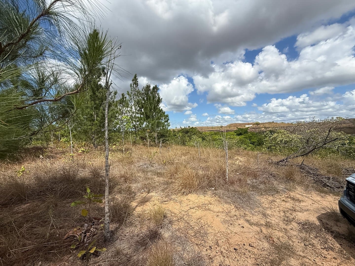 Your Private Tropical Farm Retreat — 13.18 Acres R-0110 - Image 15