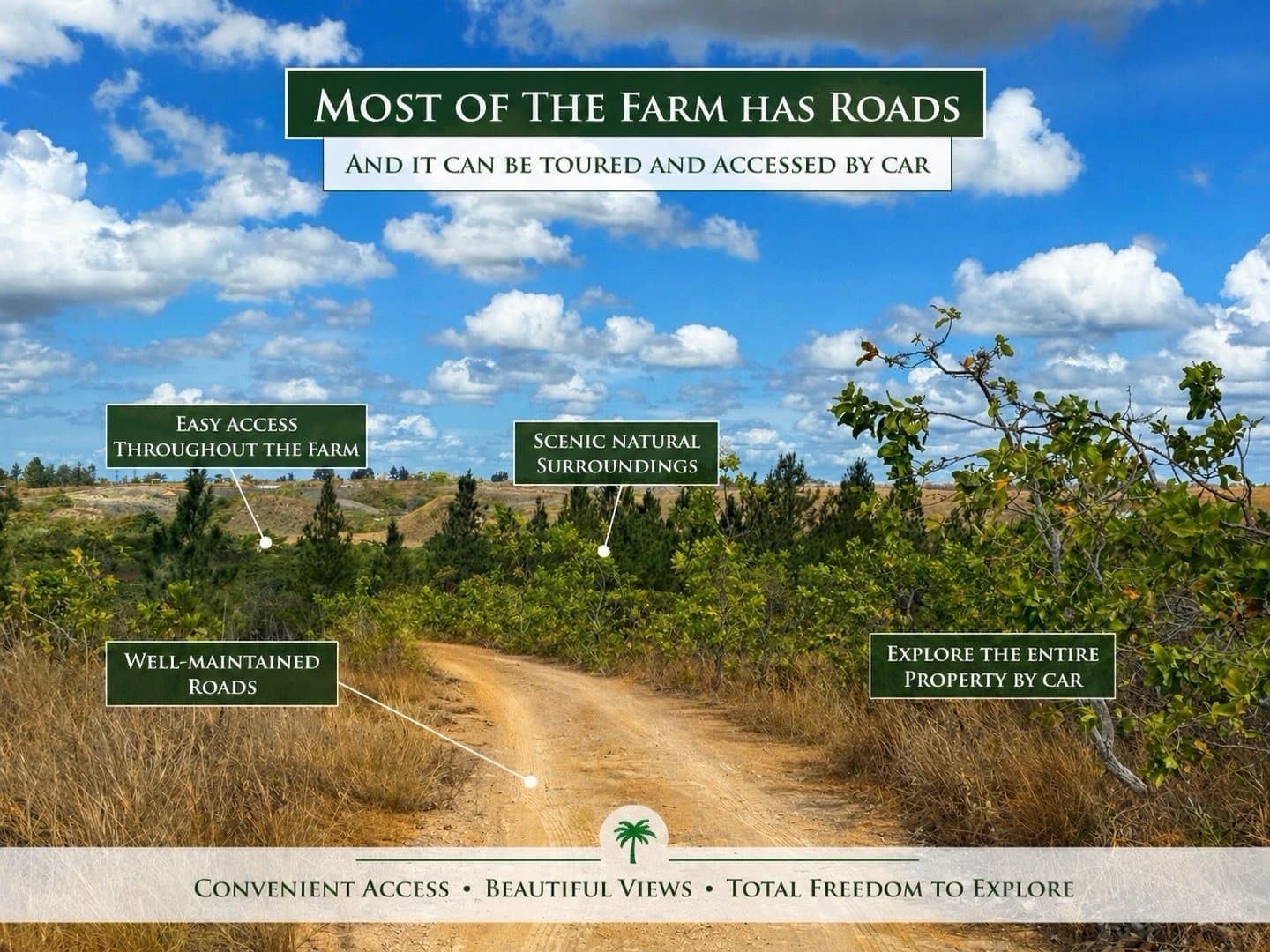 Your Private Tropical Farm Retreat — 13.18 Acres R-0110 - Image 16