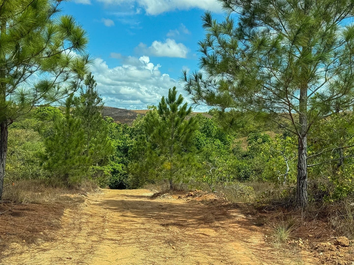 Your Private Tropical Farm Retreat — 13.18 Acres R-0110 - Image 17