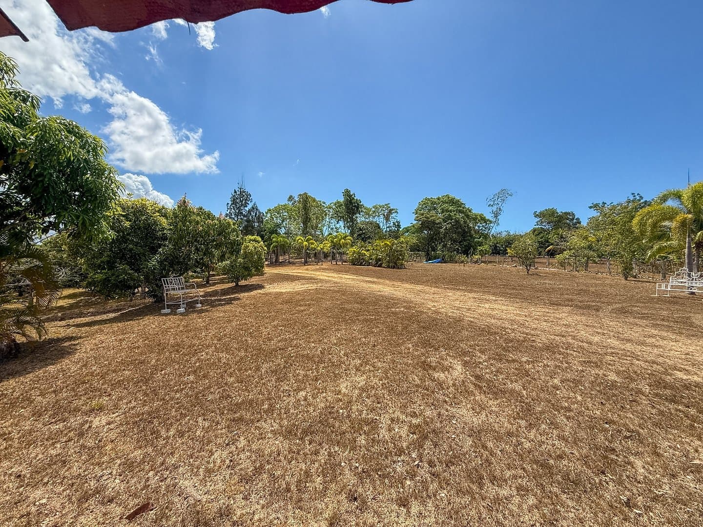 Your Private Tropical Farm Retreat — 13.18 Acres R-0110 - Image 2