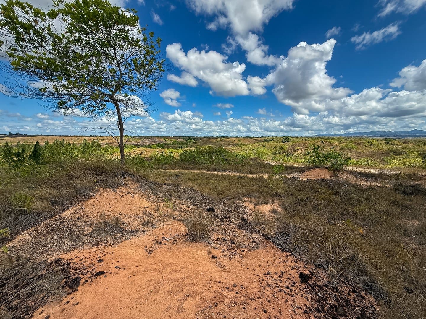 Your Private Tropical Farm Retreat — 13.18 Acres R-0110 - Image 24