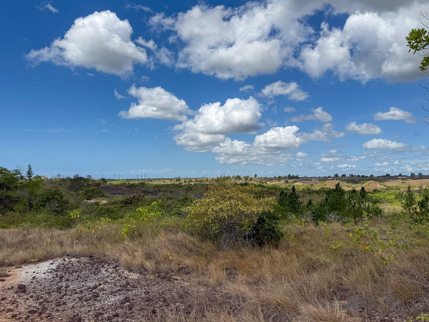Your Private Tropical Farm Retreat — 13.18 Acres R-0110 - Image 25
