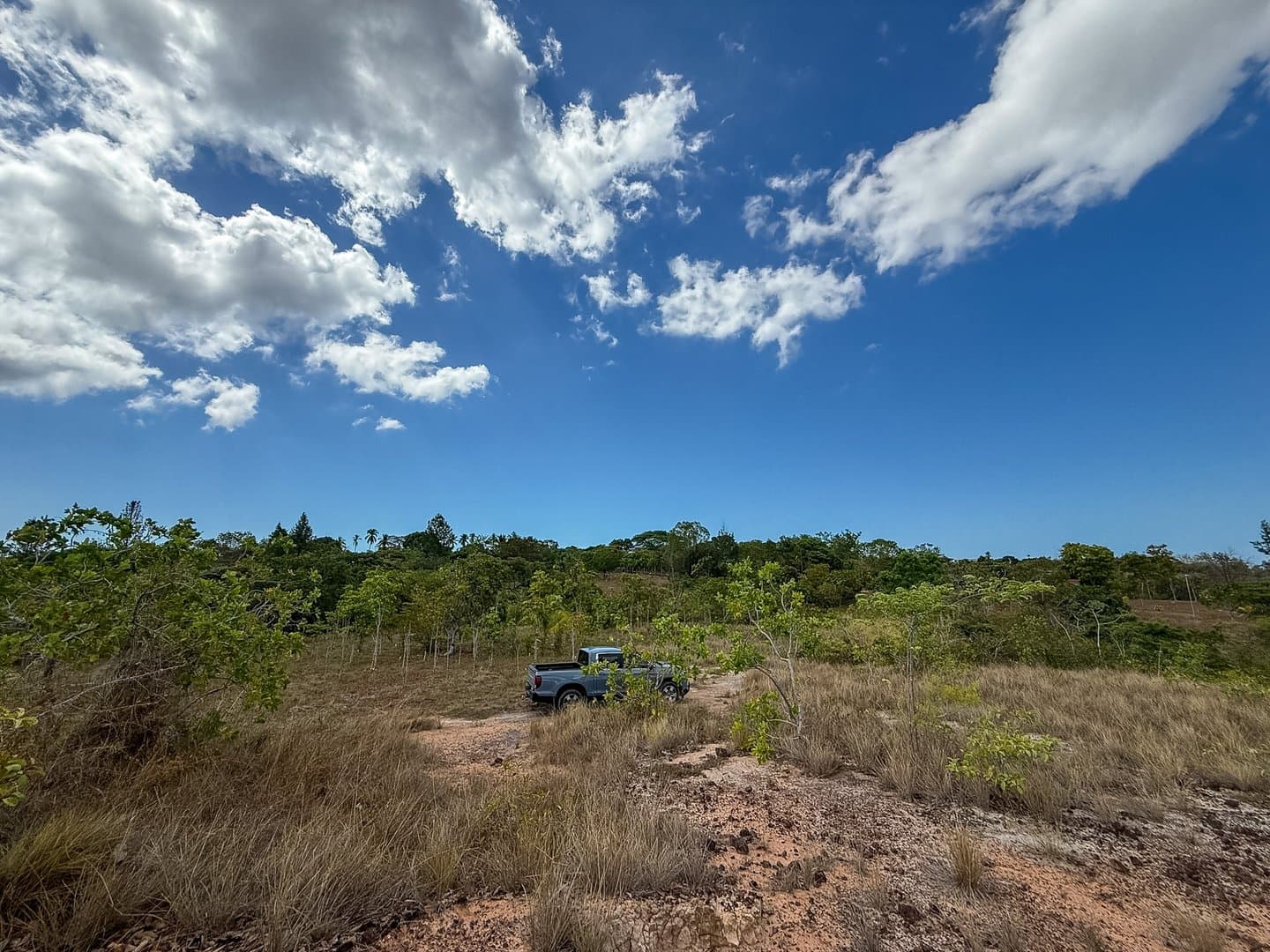 Your Private Tropical Farm Retreat — 13.18 Acres R-0110 - Image 26