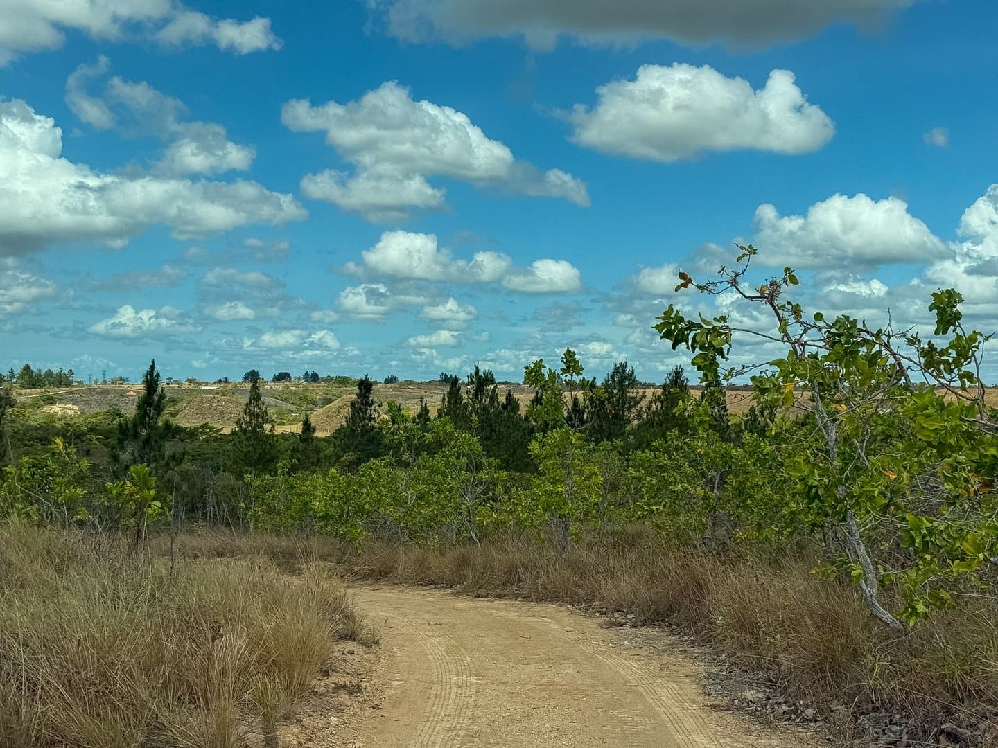 Your Private Tropical Farm Retreat — 13.18 Acres R-0110 - Image 27