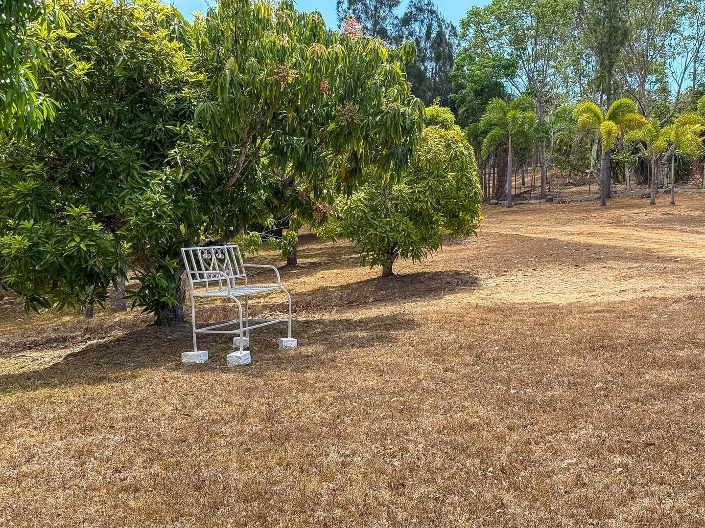 Your Private Tropical Farm Retreat — 13.18 Acres R-0110 - Image 10