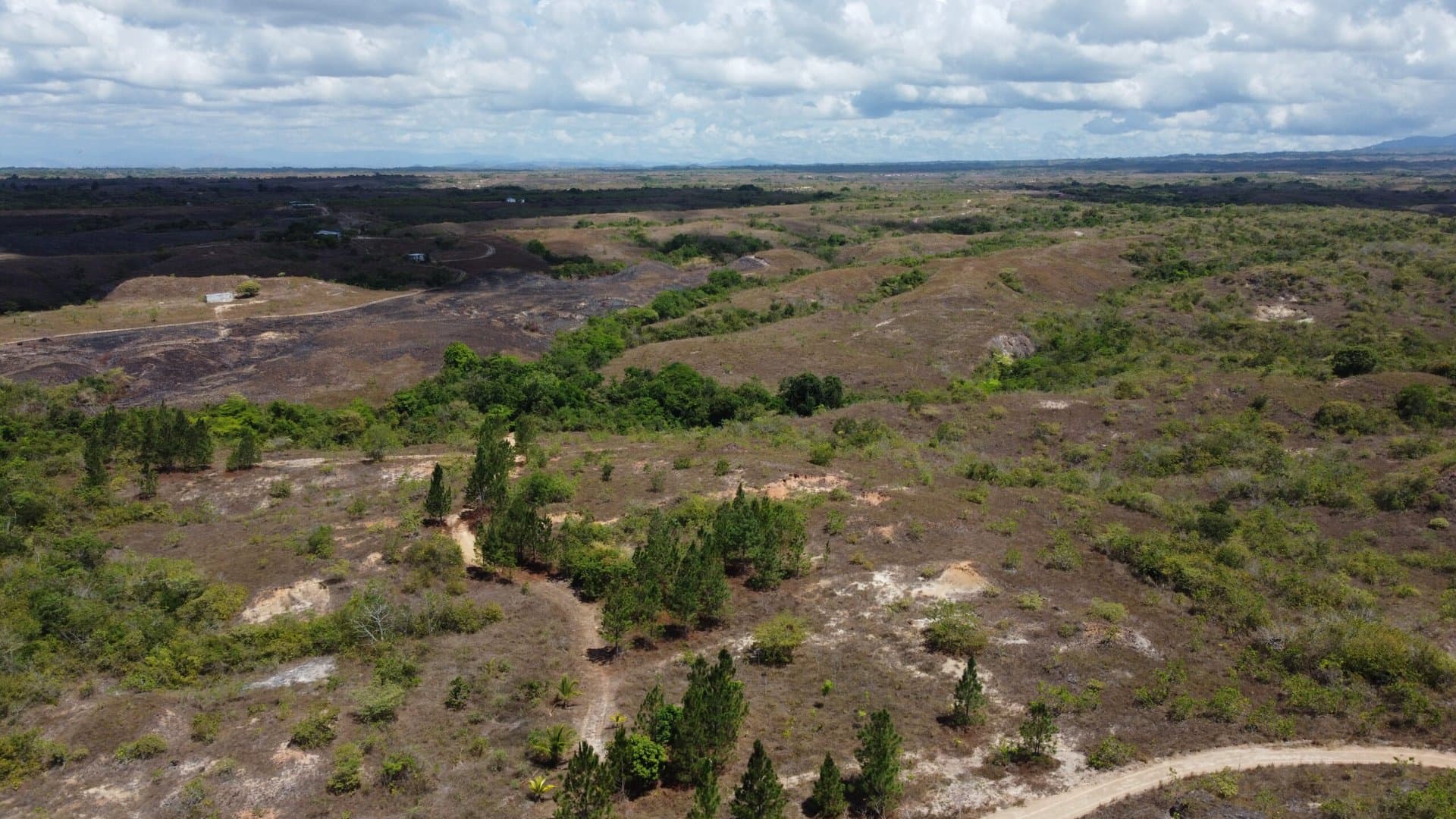 Your Private Tropical Farm Retreat — 13.18 Acres R-0110 - Image 31