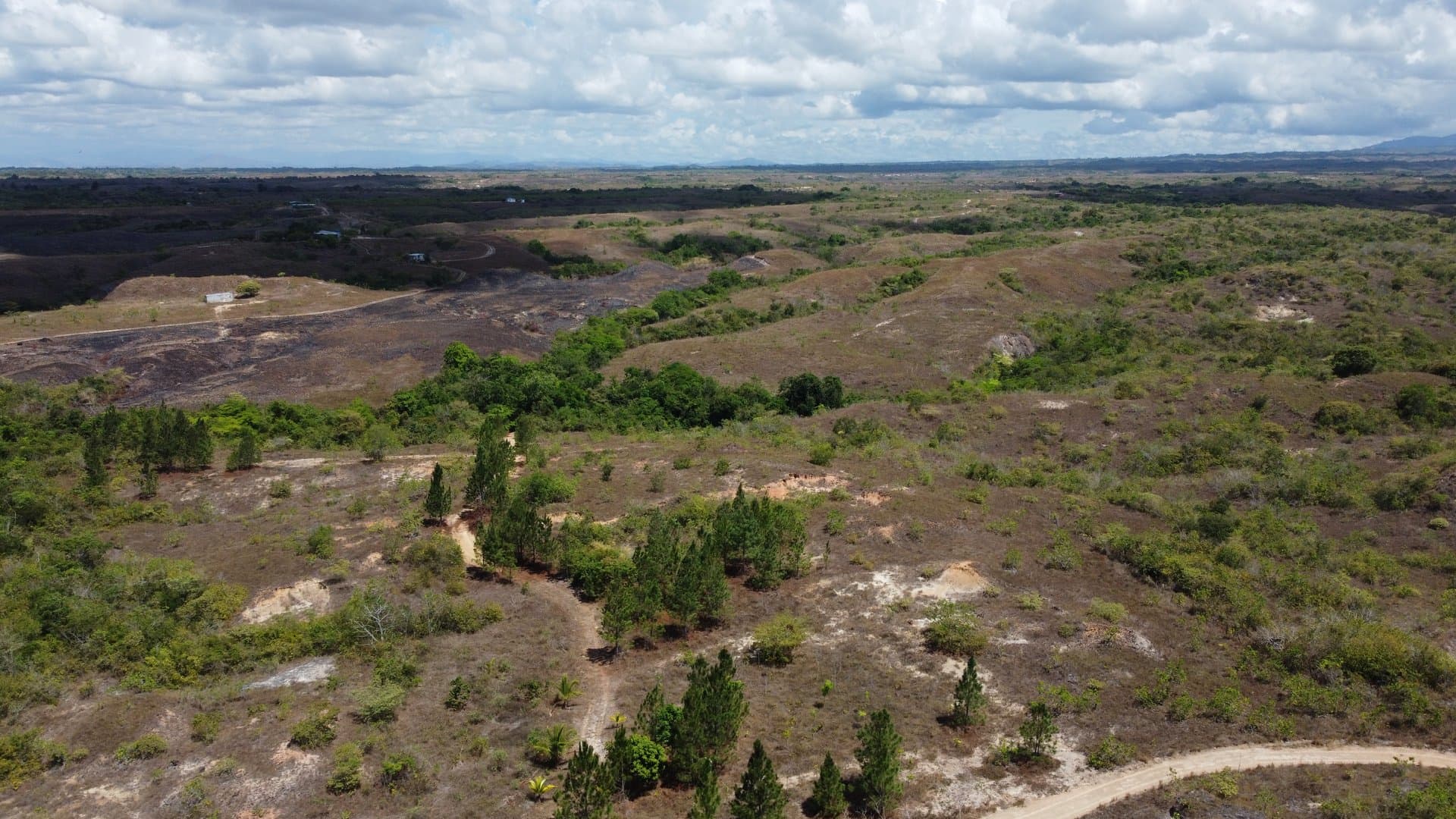 Your Private Tropical Farm Retreat — 13.18 Acres R-0110 - Image 37