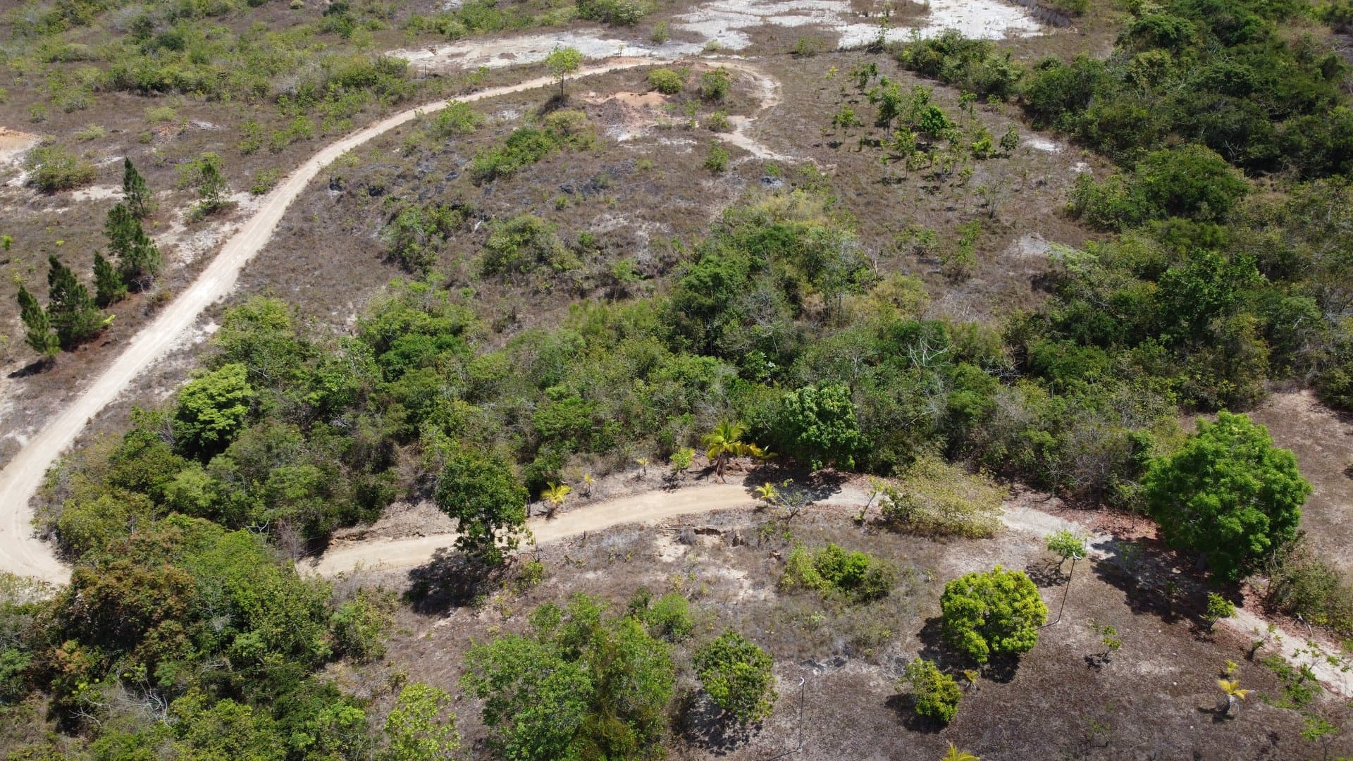 Your Private Tropical Farm Retreat — 13.18 Acres R-0110 - Image 38