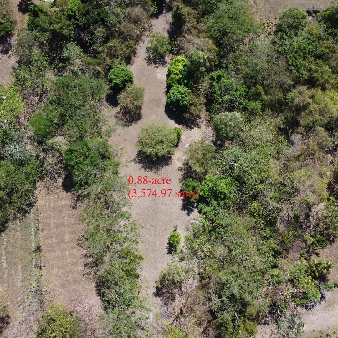 Spacious 0.88-Acre Lot to Build Your Dream Home & Grow Your Own Paradise P-0091 - Image 4