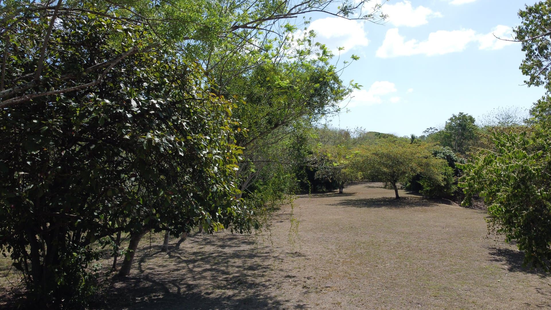 Spacious 0.88-Acre Lot to Build Your Dream Home & Grow Your Own Paradise P-0091 - Image 18