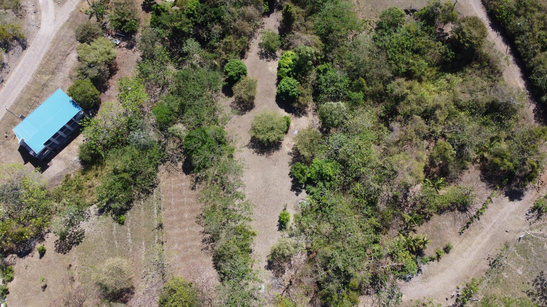 Spacious 0.88-Acre Lot to Build Your Dream Home & Grow Your Own Paradise P-0091 - Image 2