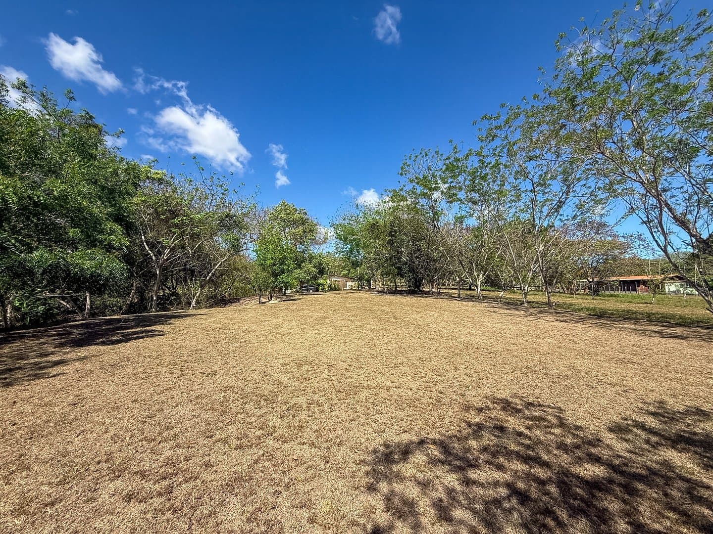 Spacious 0.88-Acre Lot to Build Your Dream Home & Grow Your Own Paradise P-0091 - Image 10