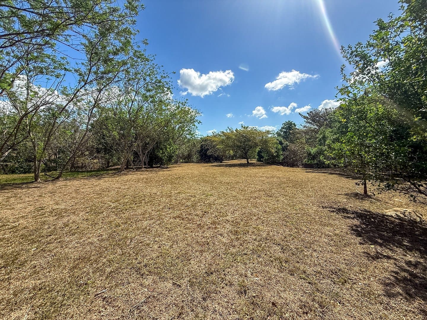 Spacious 0.88-Acre Lot to Build Your Dream Home & Grow Your Own Paradise P-0091