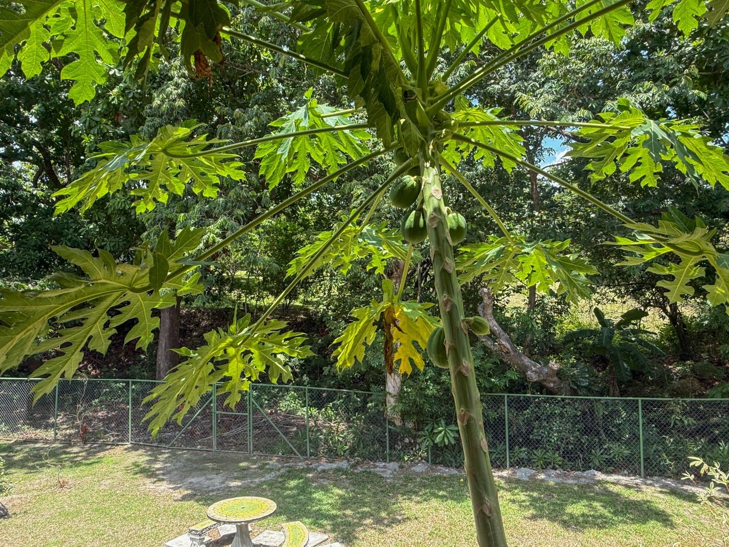 3-Bedroom House in Peaceful Gated Community in Las Lajas Near Coronado R-0283 - Image 34