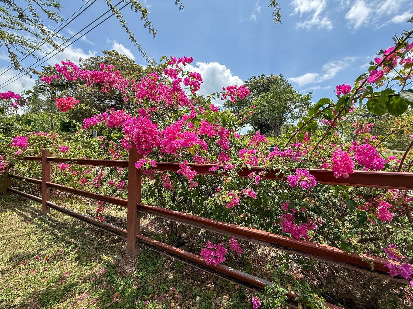 3-Bedroom House in Peaceful Gated Community in Las Lajas Near Coronado R-0283 - Image 35