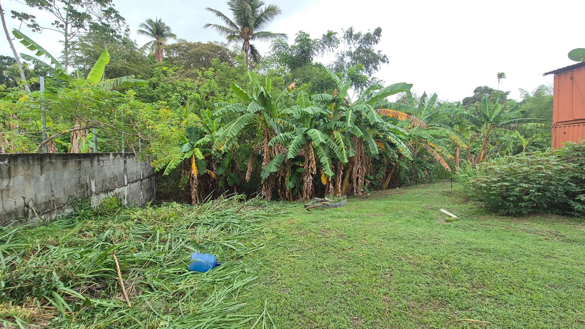 Income Property Near San Carlos – Investment Opportunity P-0032 - Image 17