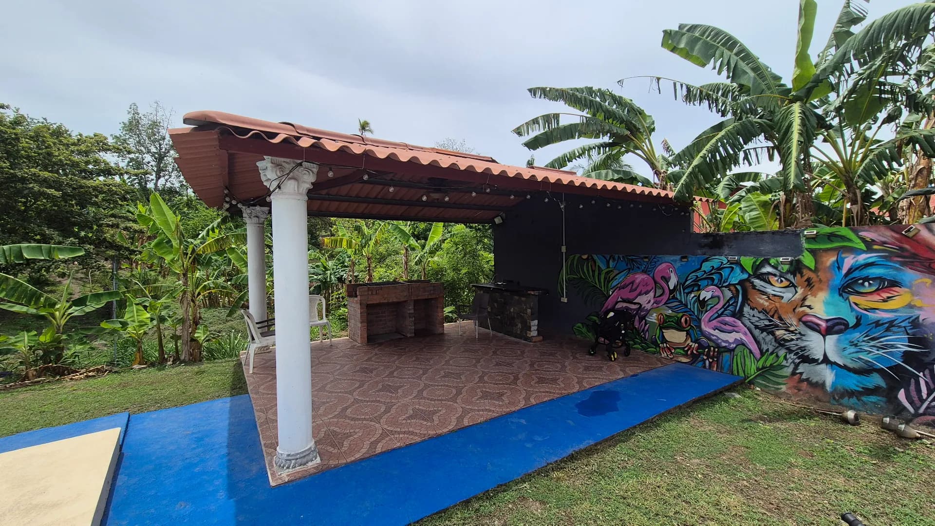 Income Property Near San Carlos – Investment Opportunity P-0032 - Image 32