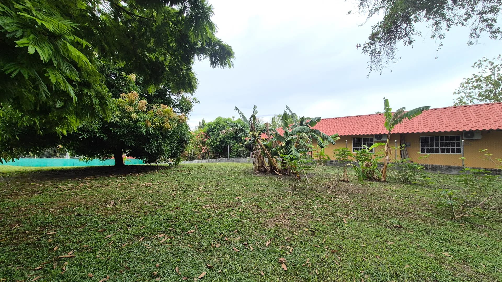 Great opportunity – 0.35 Acre lot for sale close to San Carlos P-0117 - Image 10