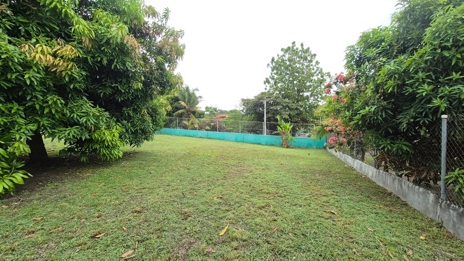 Great opportunity – 0.35 Acre lot for sale close to San Carlos P-0117 - Image 11