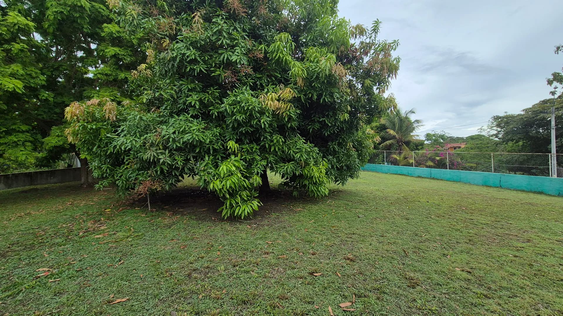Great opportunity – 0.35 Acre lot for sale close to San Carlos P-0117 - Image 12
