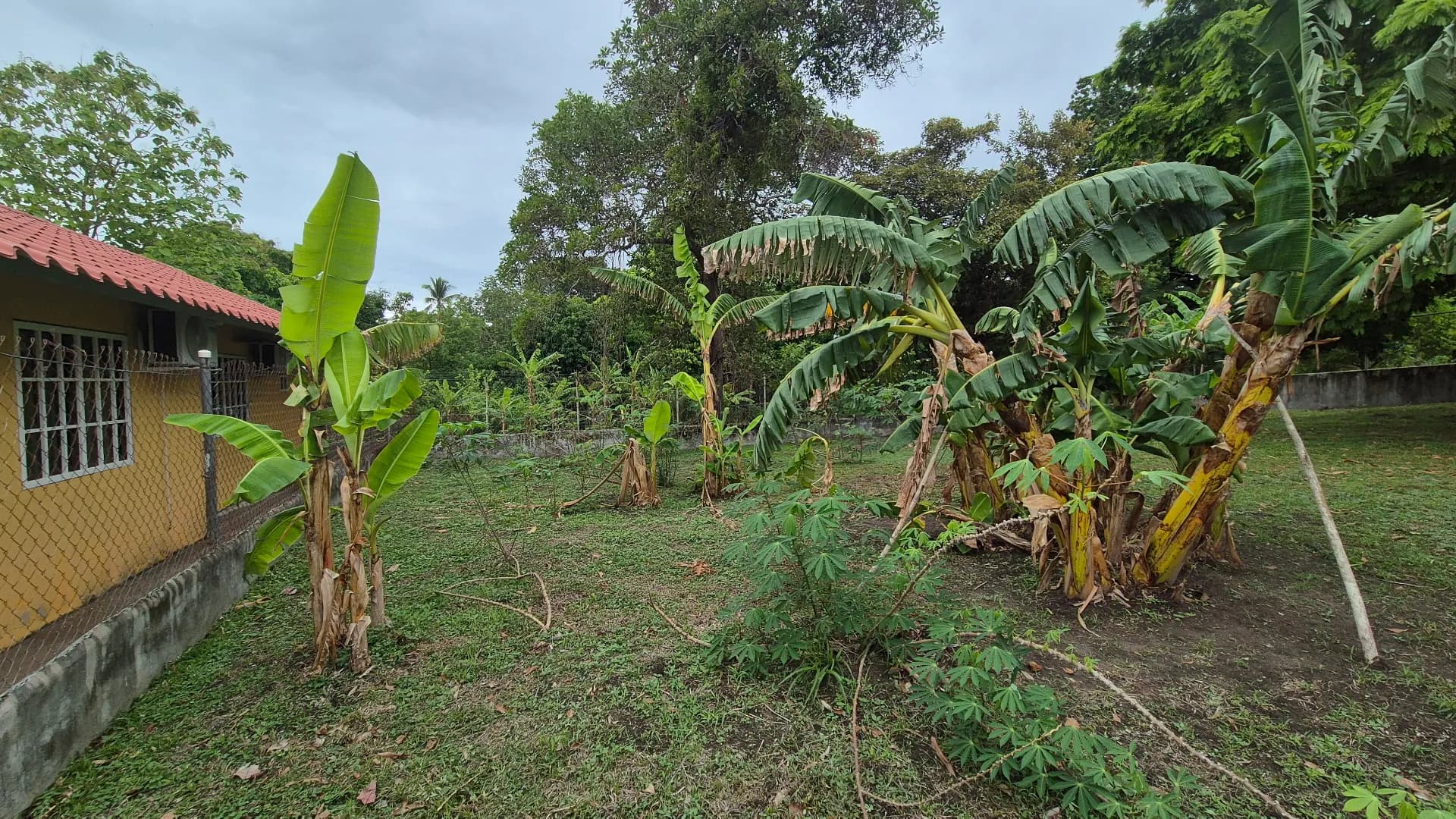 Great opportunity – 0.35 Acre lot for sale close to San Carlos P-0117 - Image 14