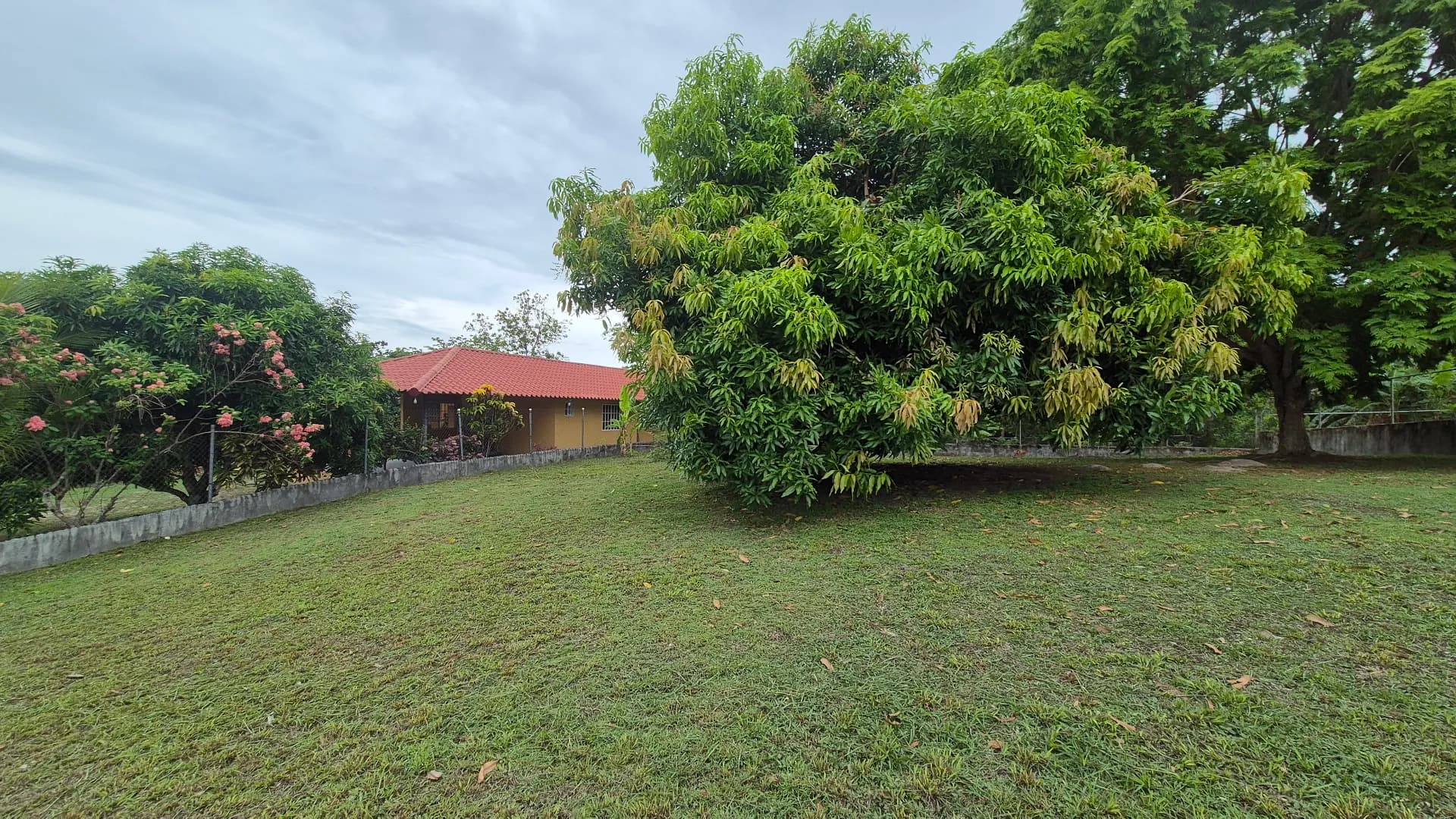 Great opportunity – 0.35 Acre lot for sale close to San Carlos P-0117 - Image 17