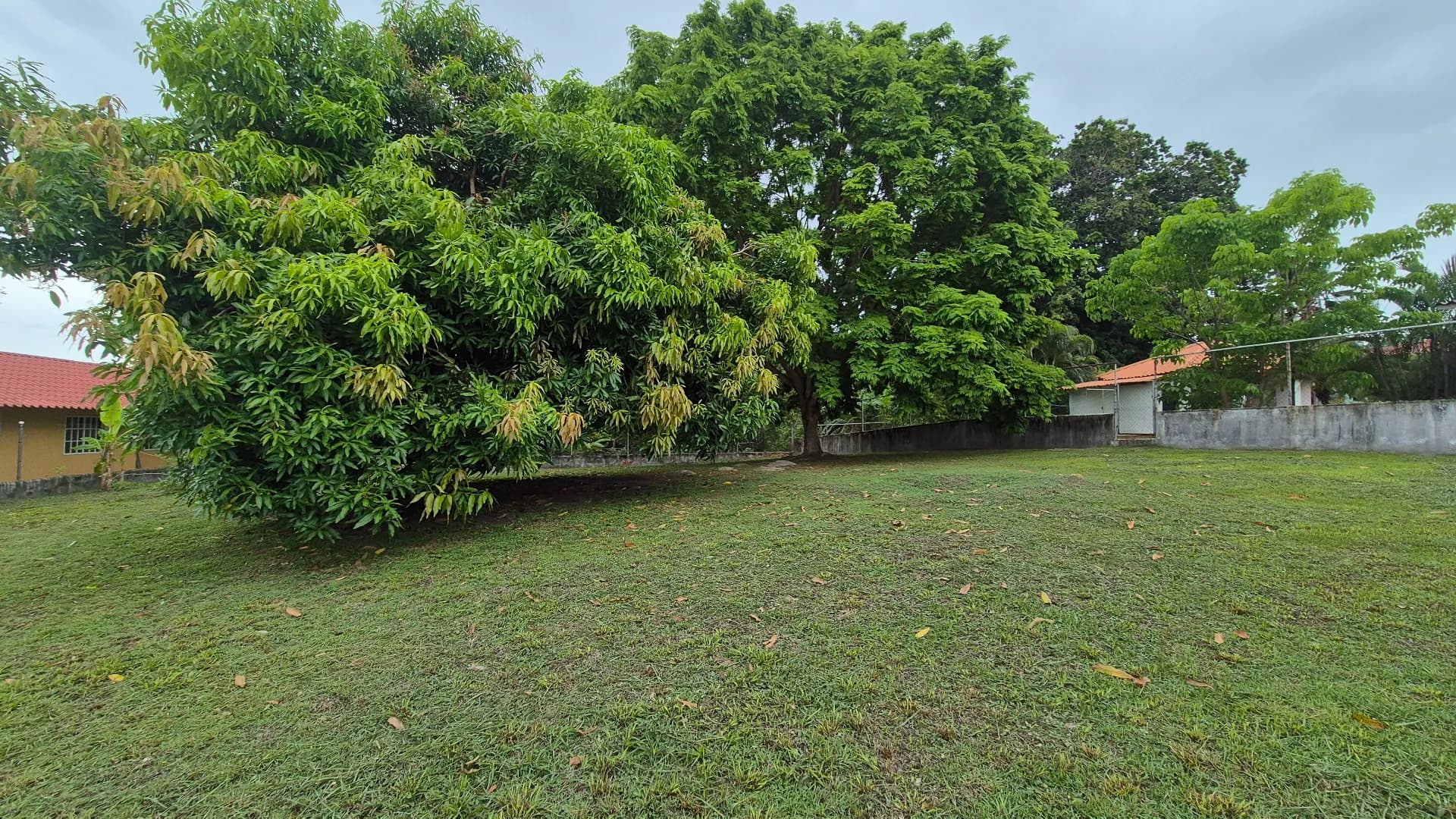 Great opportunity – 0.35 Acre lot for sale close to San Carlos P-0117 - Image 18