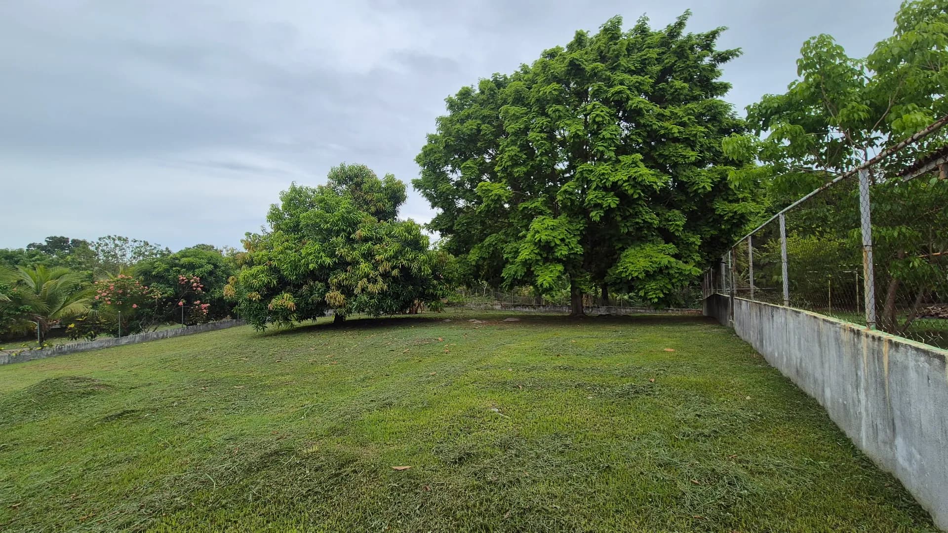 Great opportunity – 0.35 Acre lot for sale close to San Carlos P-0117 - Image 3