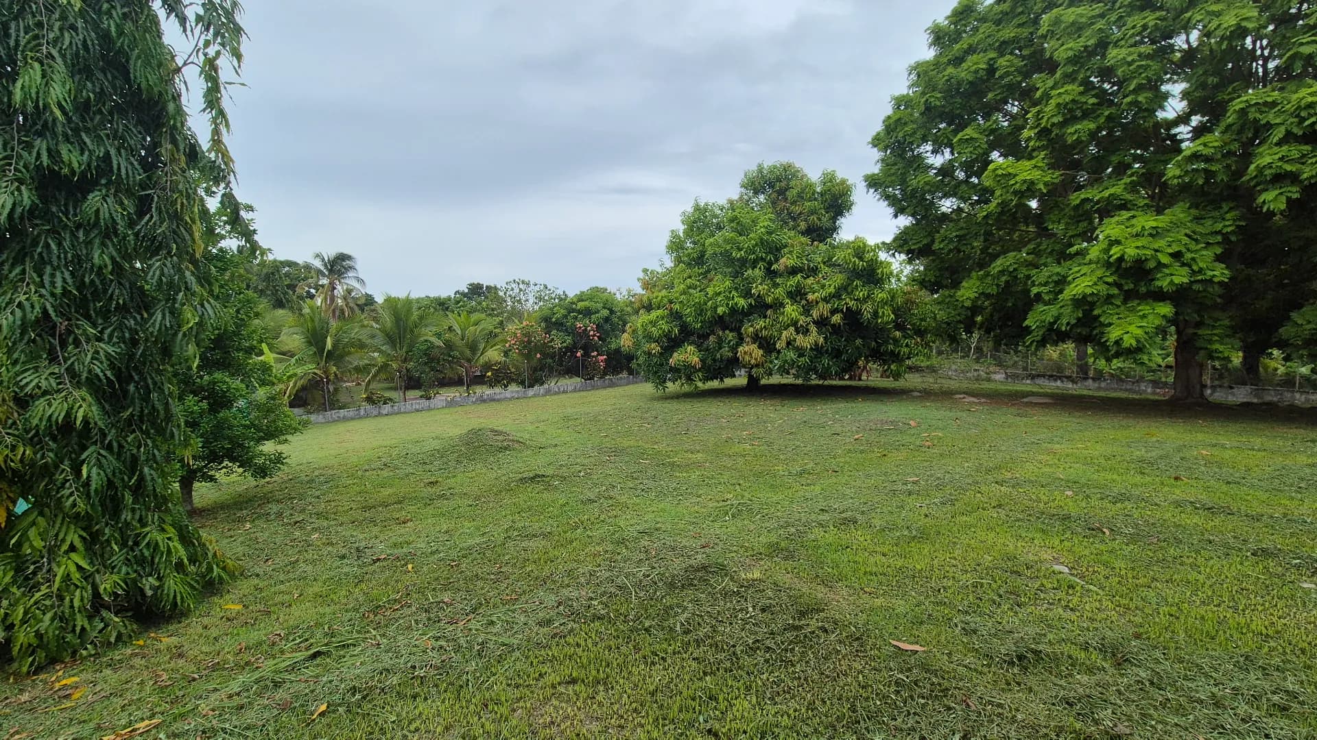 Great opportunity – 0.35 Acre lot for sale close to San Carlos P-0117 - Image 4