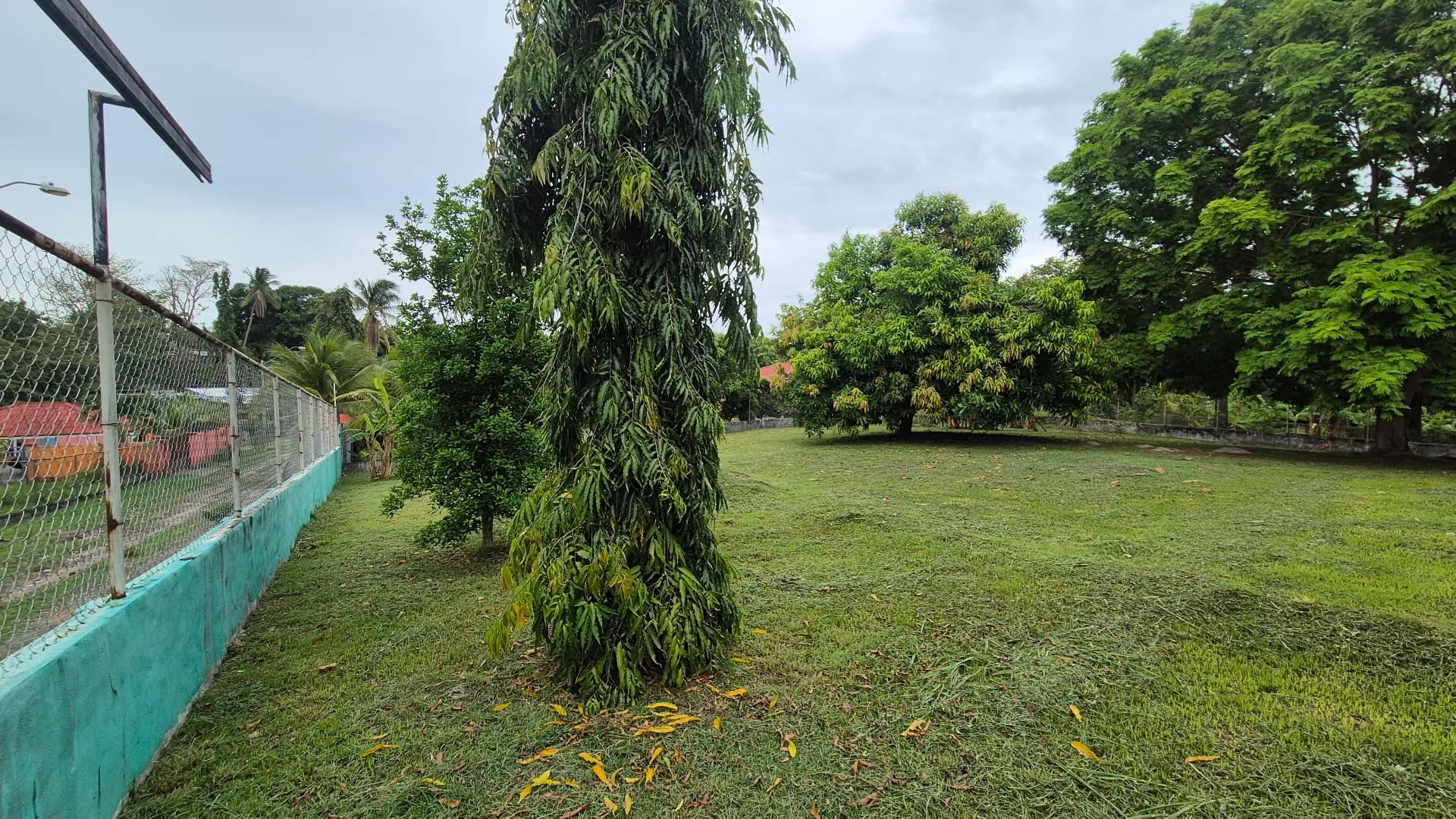 Great opportunity – 0.35 Acre lot for sale close to San Carlos P-0117 - Image 5