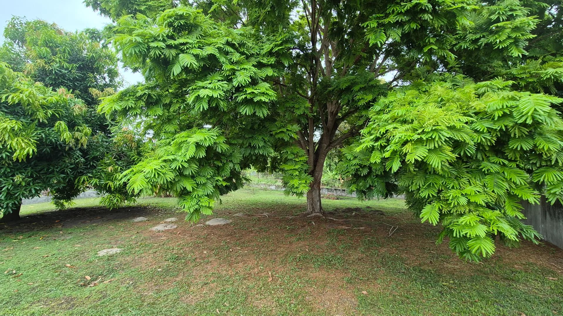 Great opportunity – 0.35 Acre lot for sale close to San Carlos P-0117 - Image 6