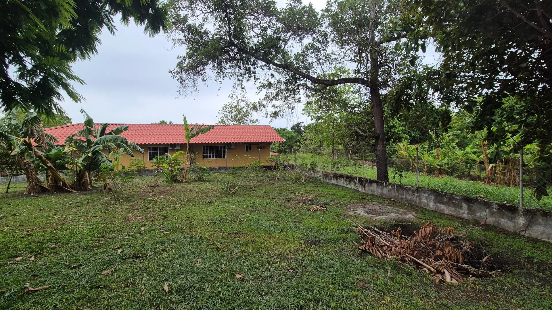 Great opportunity – 0.35 Acre lot for sale close to San Carlos P-0117 - Image 9