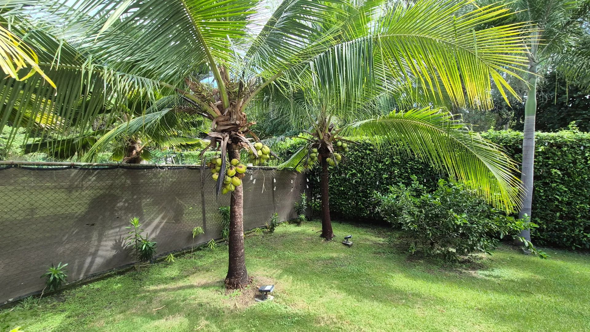 Spacious 3-Bedroom Home with Private Jacuzzi in a gated community in Chame, Panama P-0256 - Image 28