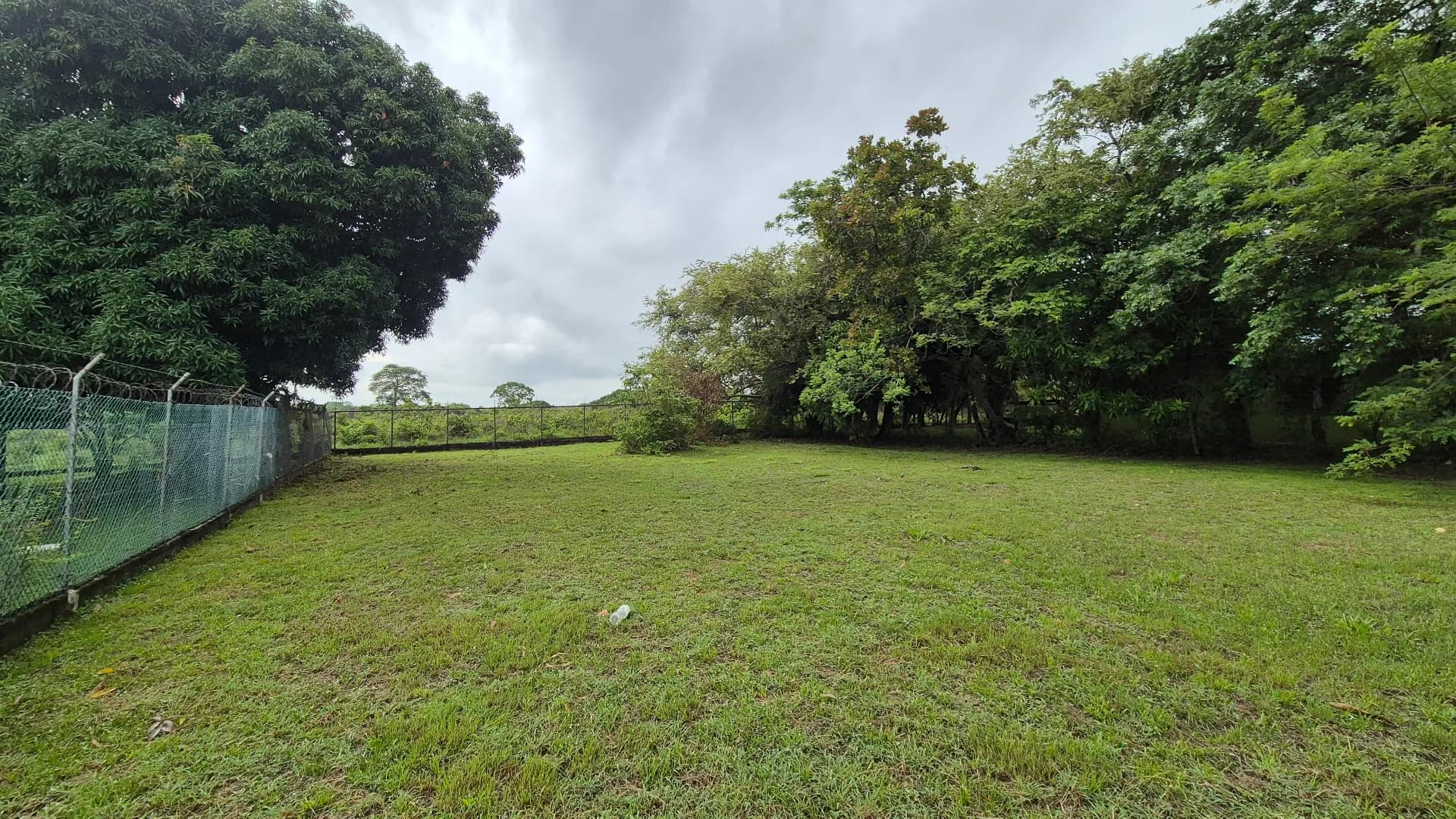 Great opportunity – lot for sale in Gorgona P-0219 - Image 10