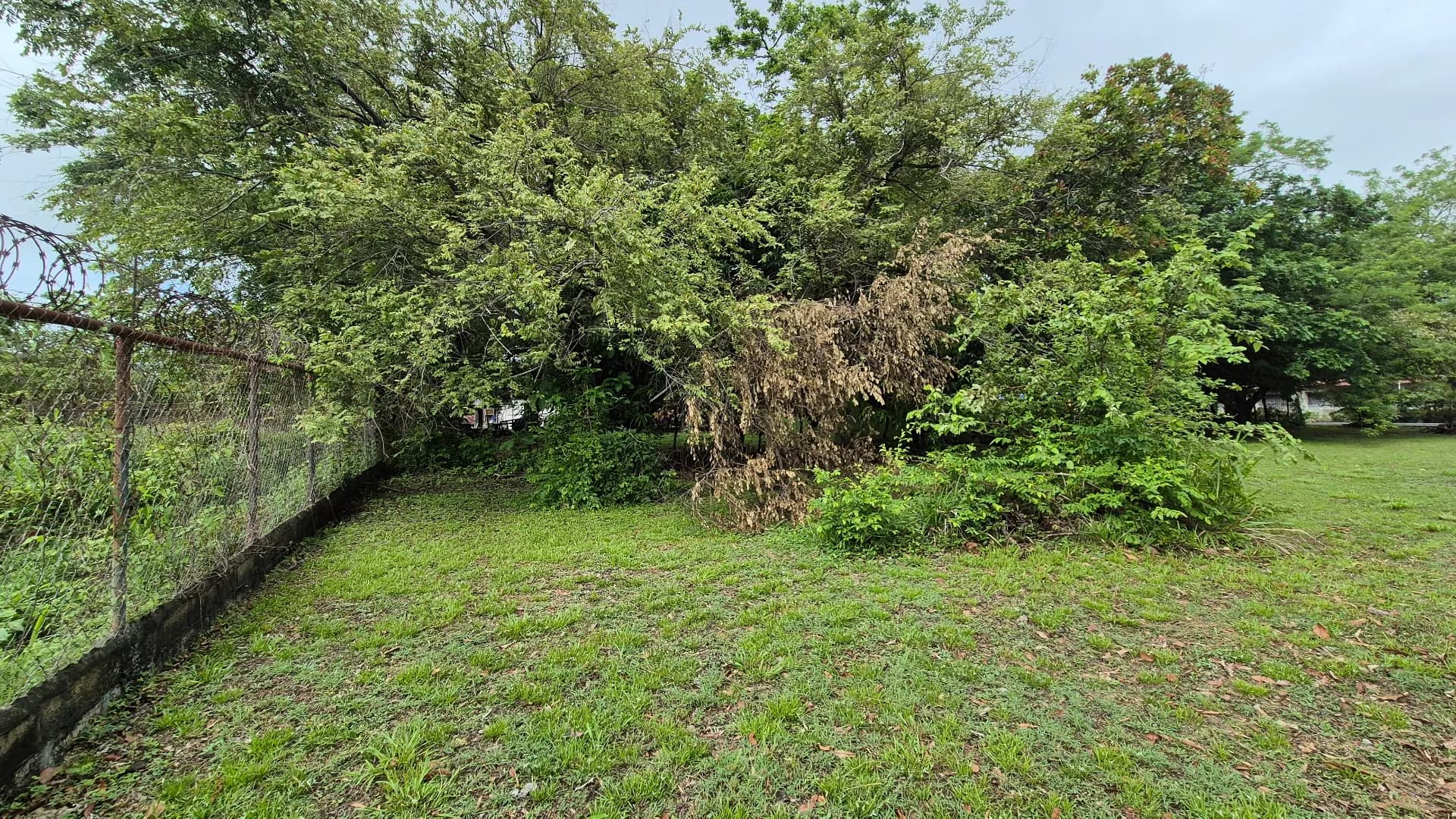 Great opportunity – lot for sale in Gorgona P-0219 - Image 11