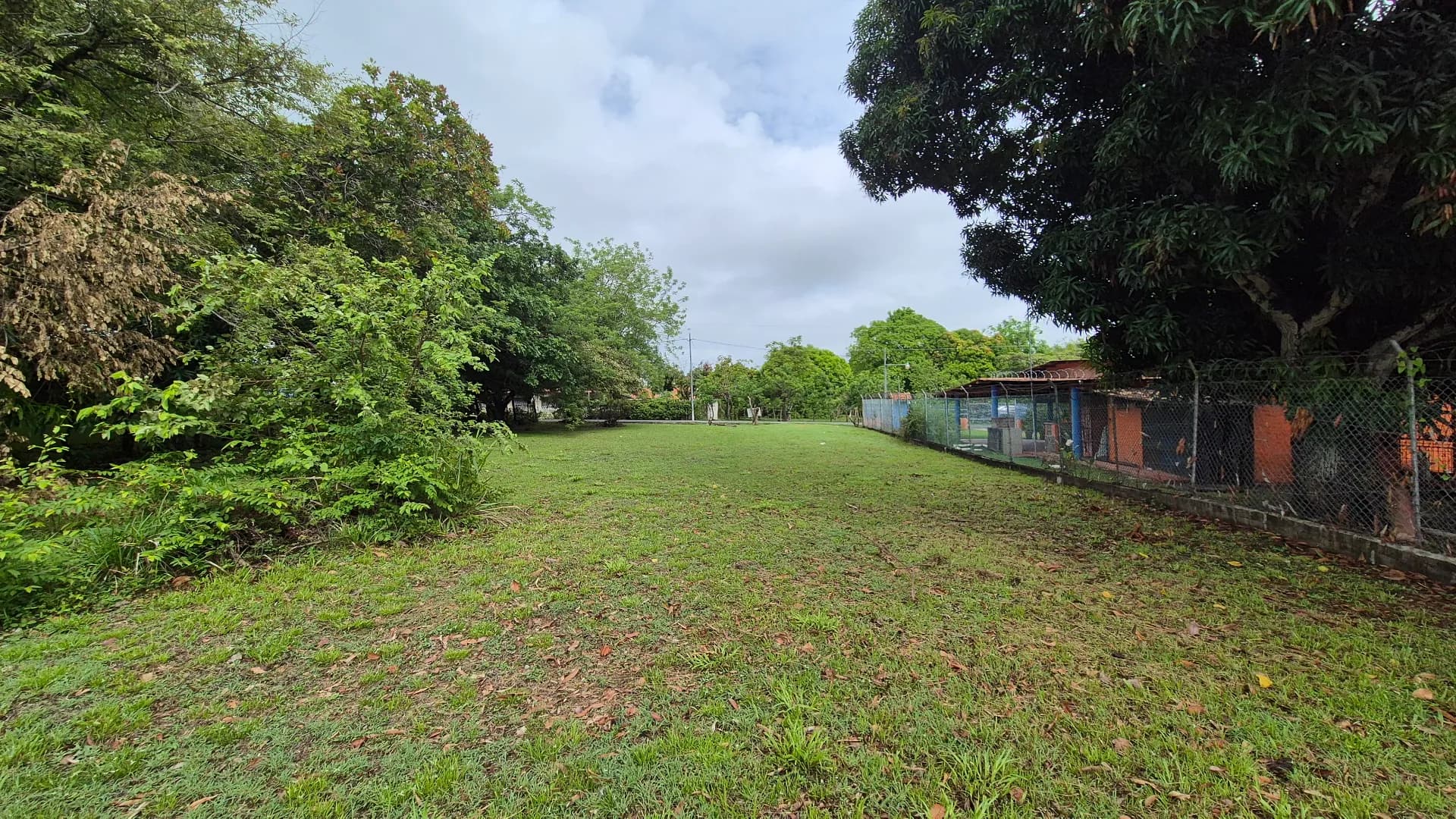 Great opportunity – lot for sale in Gorgona P-0219 - Image 12