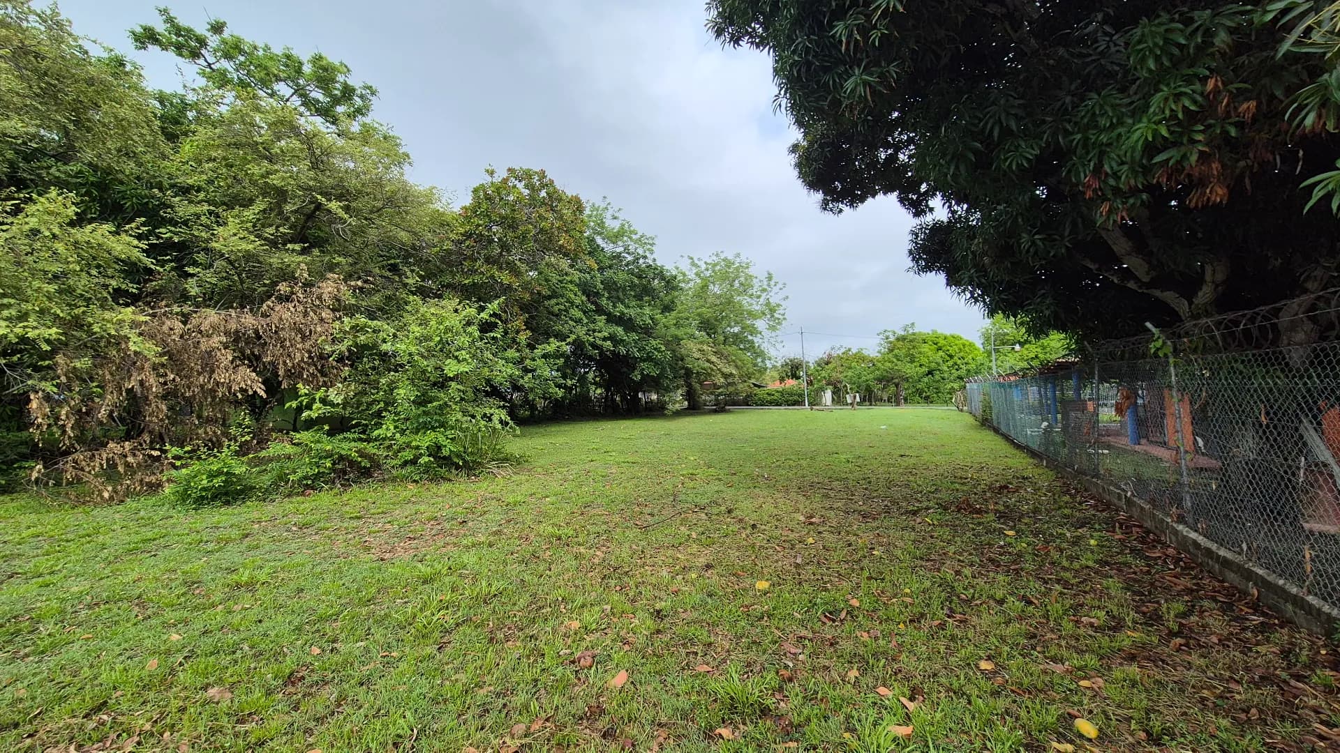 Great opportunity – lot for sale in Gorgona P-0219 - Image 13