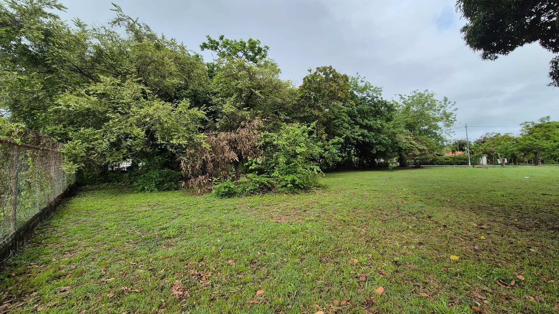 Great opportunity – lot for sale in Gorgona P-0219 - Image 14