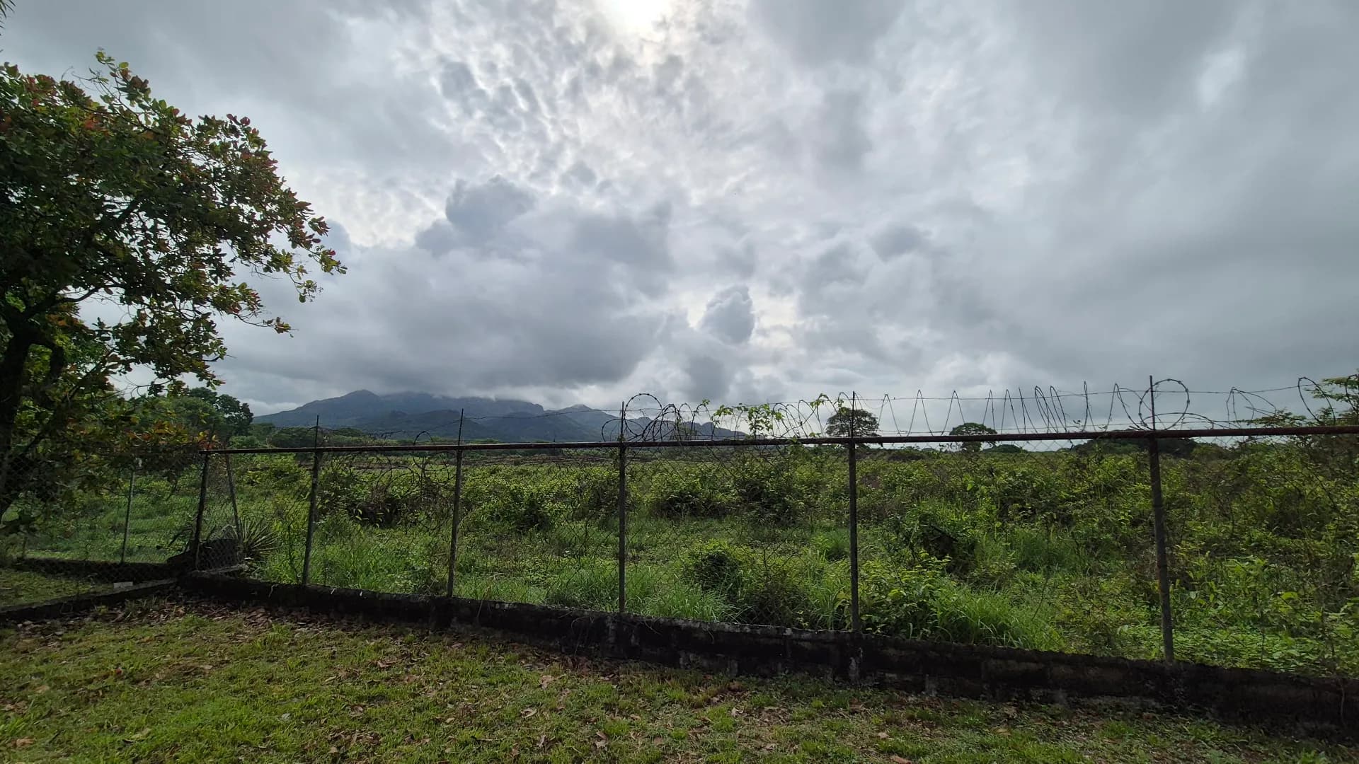 Great opportunity – lot for sale in Gorgona P-0219 - Image 15