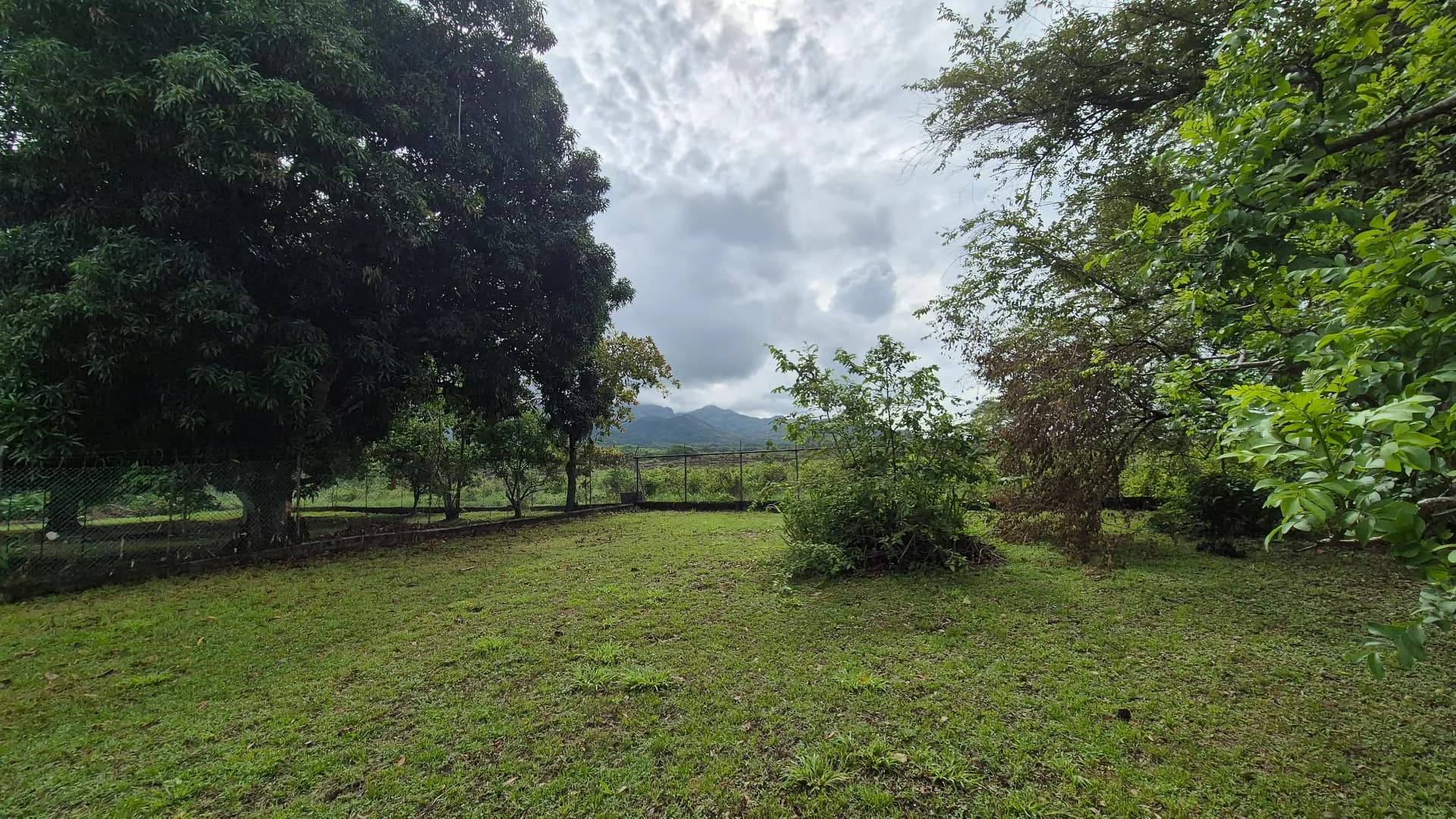 Great opportunity – lot for sale in Gorgona P-0219 - Image 18