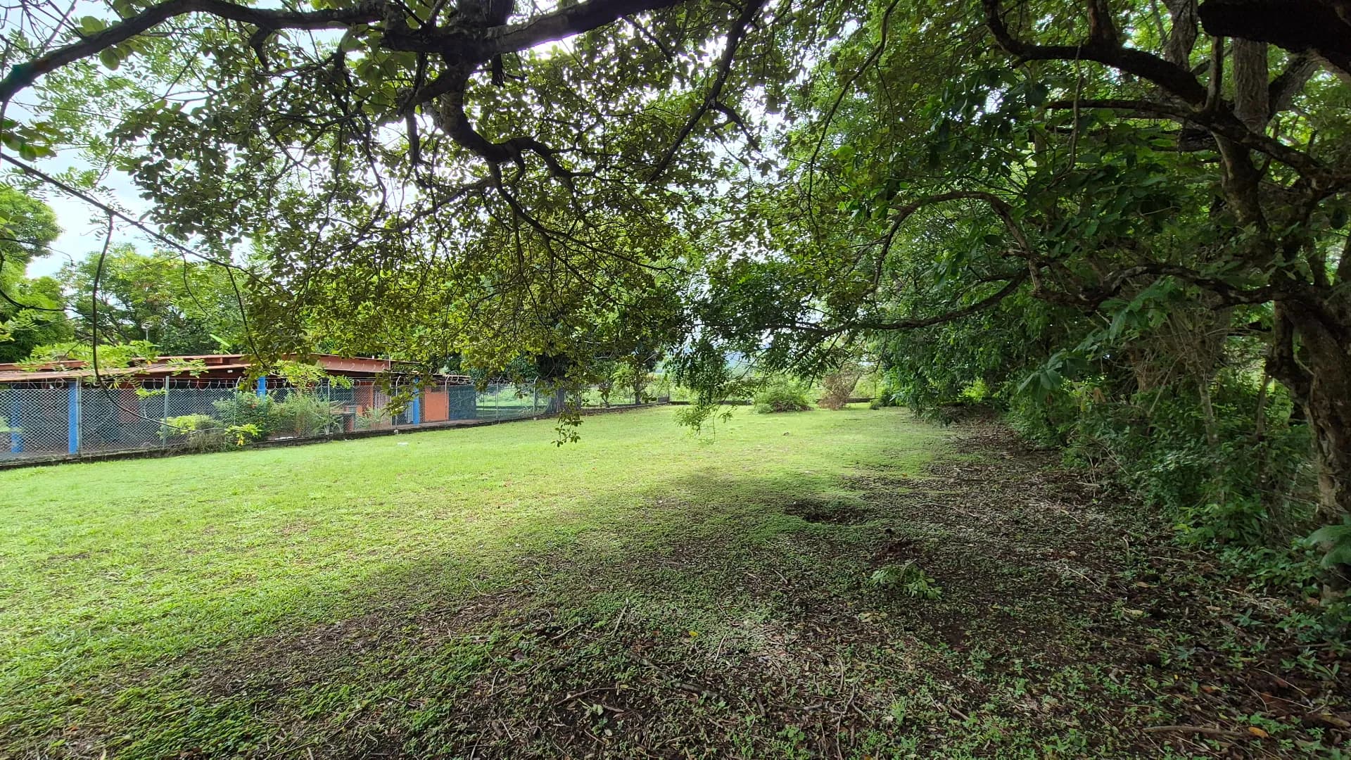 Great opportunity – lot for sale in Gorgona P-0219 - Image 20