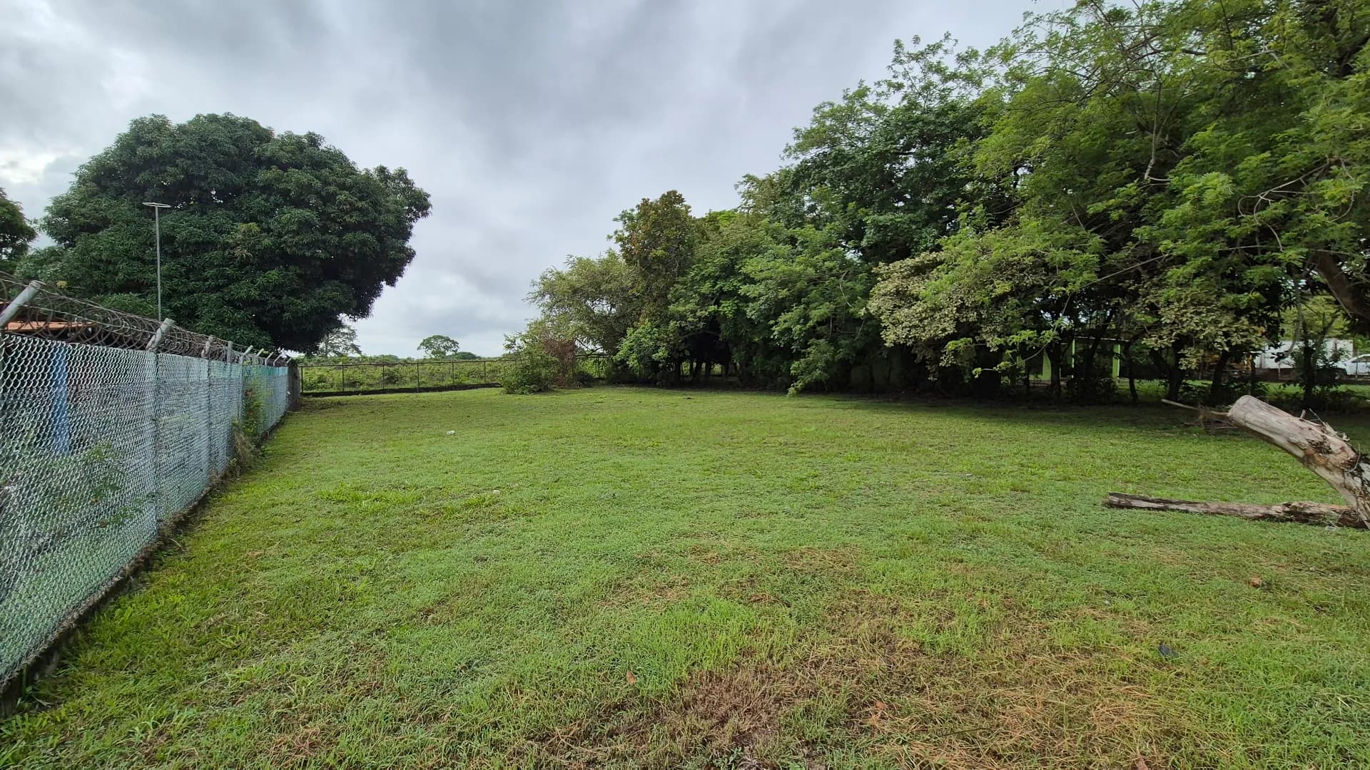 Great opportunity – lot for sale in Gorgona P-0219 - Image 3