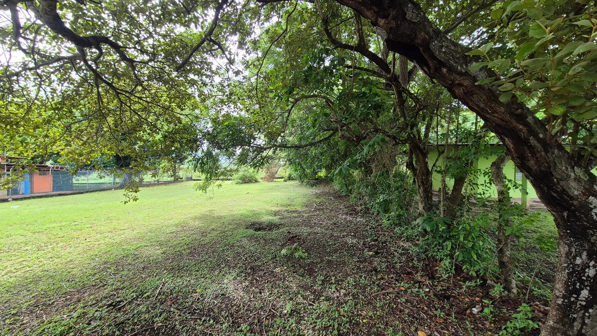 Great opportunity – lot for sale in Gorgona P-0219 - Image 5