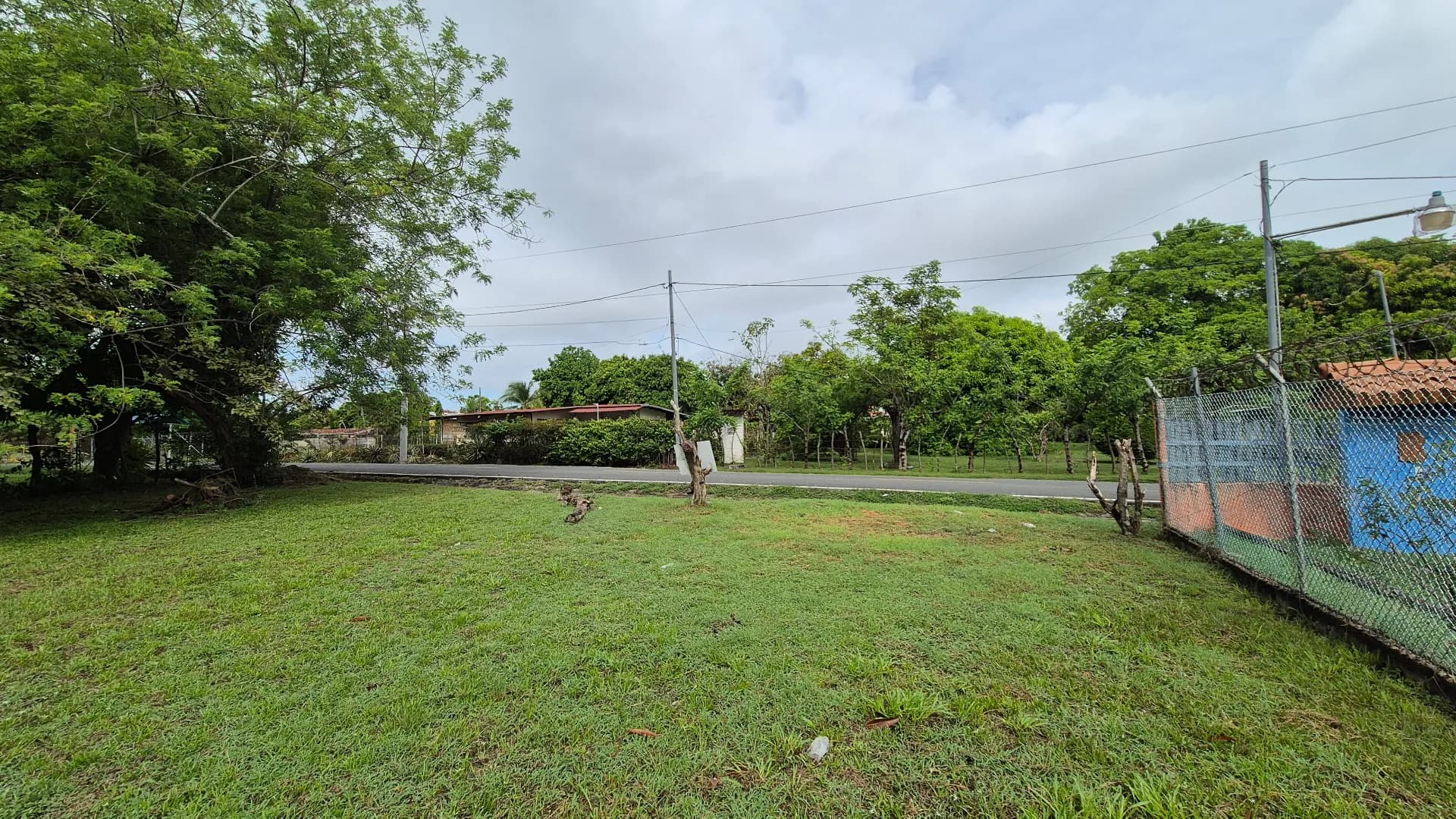 Great opportunity – lot for sale in Gorgona P-0219 - Image 8
