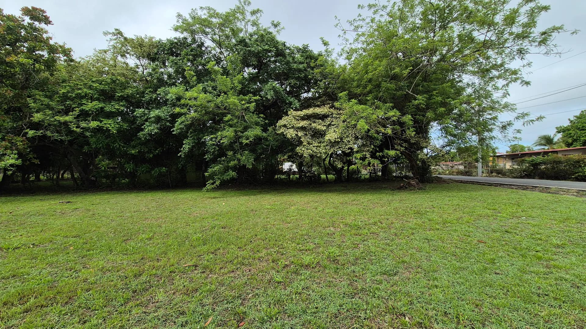 Great opportunity – lot for sale in Gorgona P-0219 - Image 9