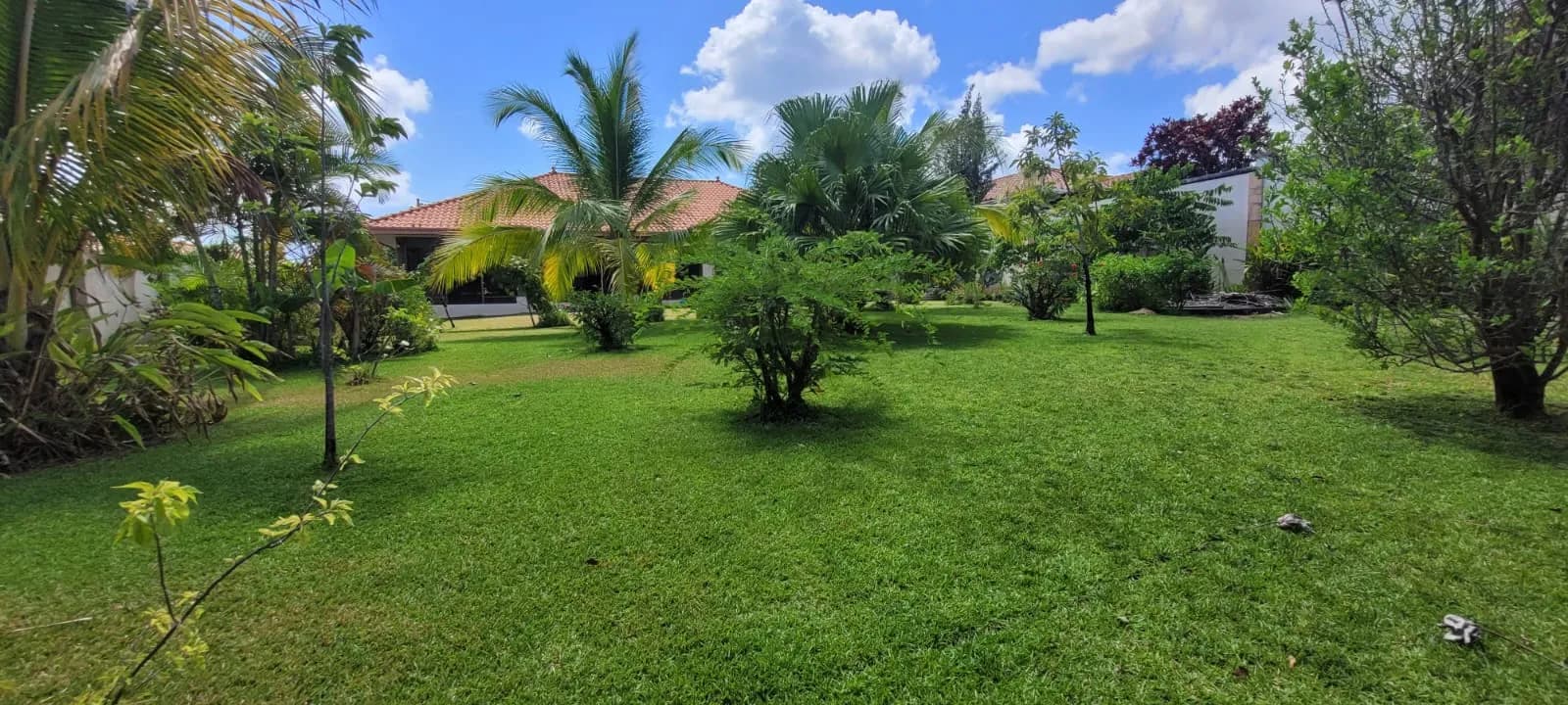 Spacious 3-Bedroom Home with Expansive Backyard Oasis Near Coronado P-0038 - Image 24