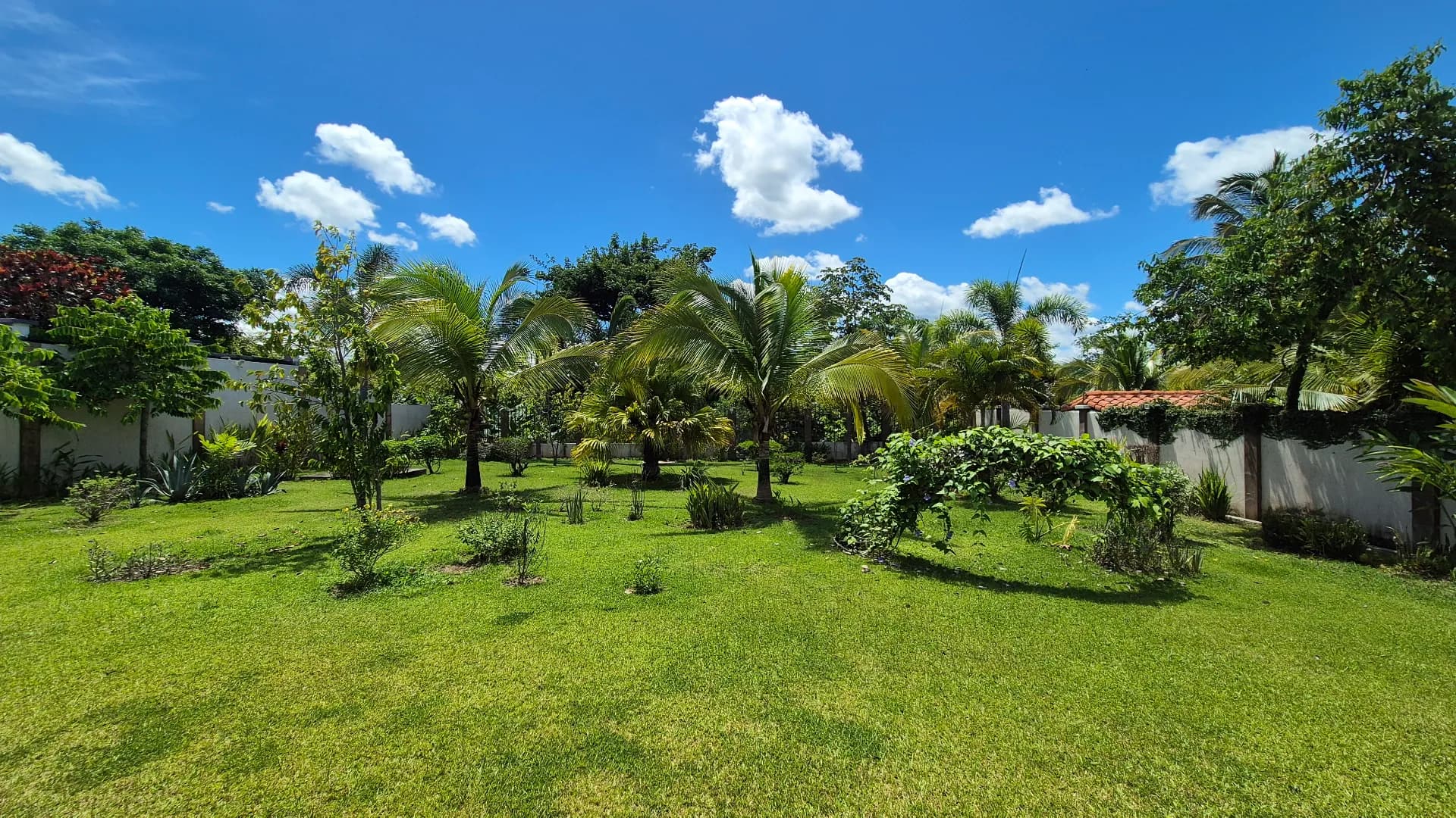 Spacious 3-Bedroom Home with Expansive Backyard Oasis Near Coronado P-0038 - Image 34